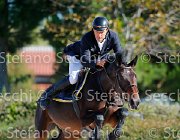 Marangotto Liberty Girl GioCav2013 S5 1506 : Campionati Italiani Giovani Cavalli, Cattolica, Liberty Girl, Marangotto Marco, ph Stefano Secchi ©